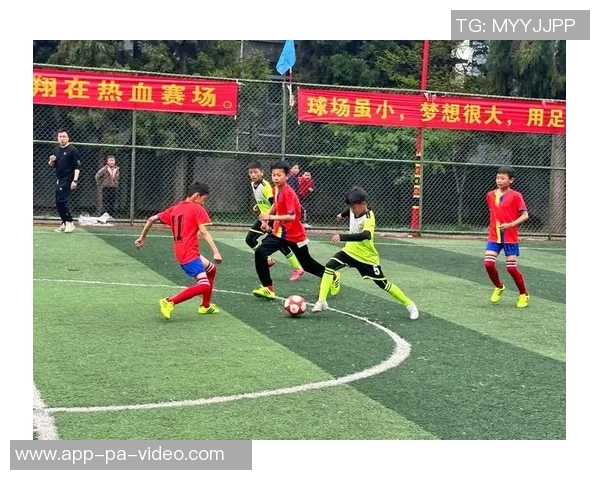 少年足球国语：青春热血与梦想追逐的绿茵场传奇